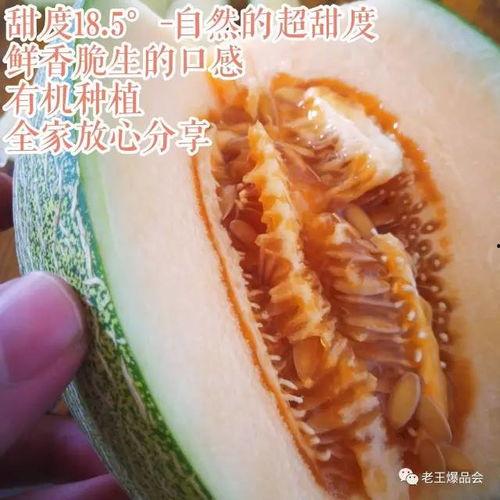 吃超甜蜜瓜视频,一场视觉与味蕾的双重享受